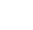 Icon 13